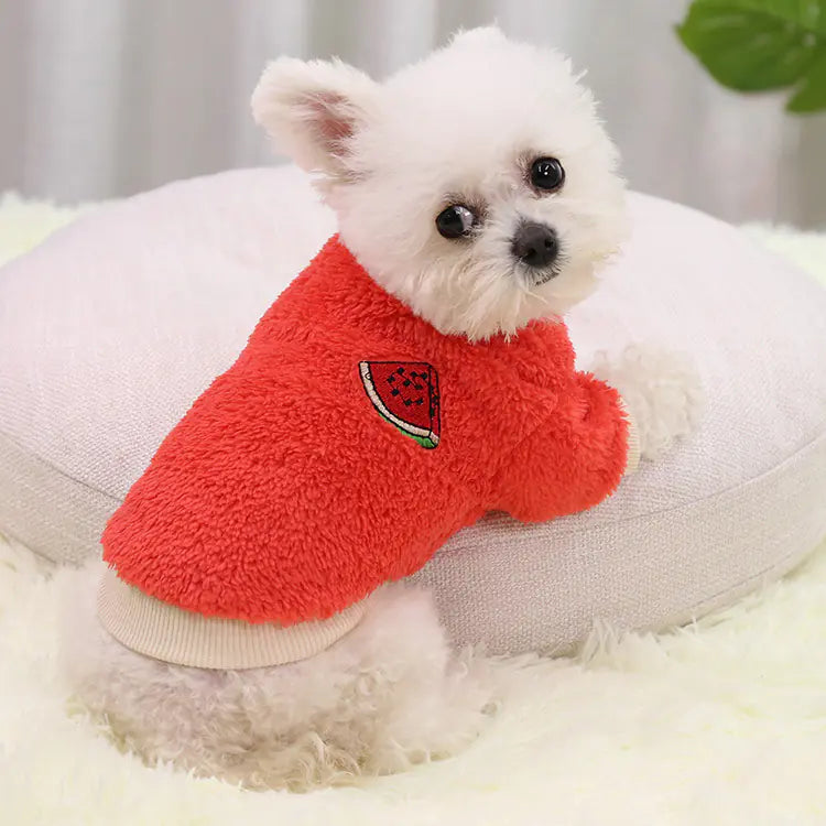 Teddy Dog Clothes for Small, Medium, and Large Sizes