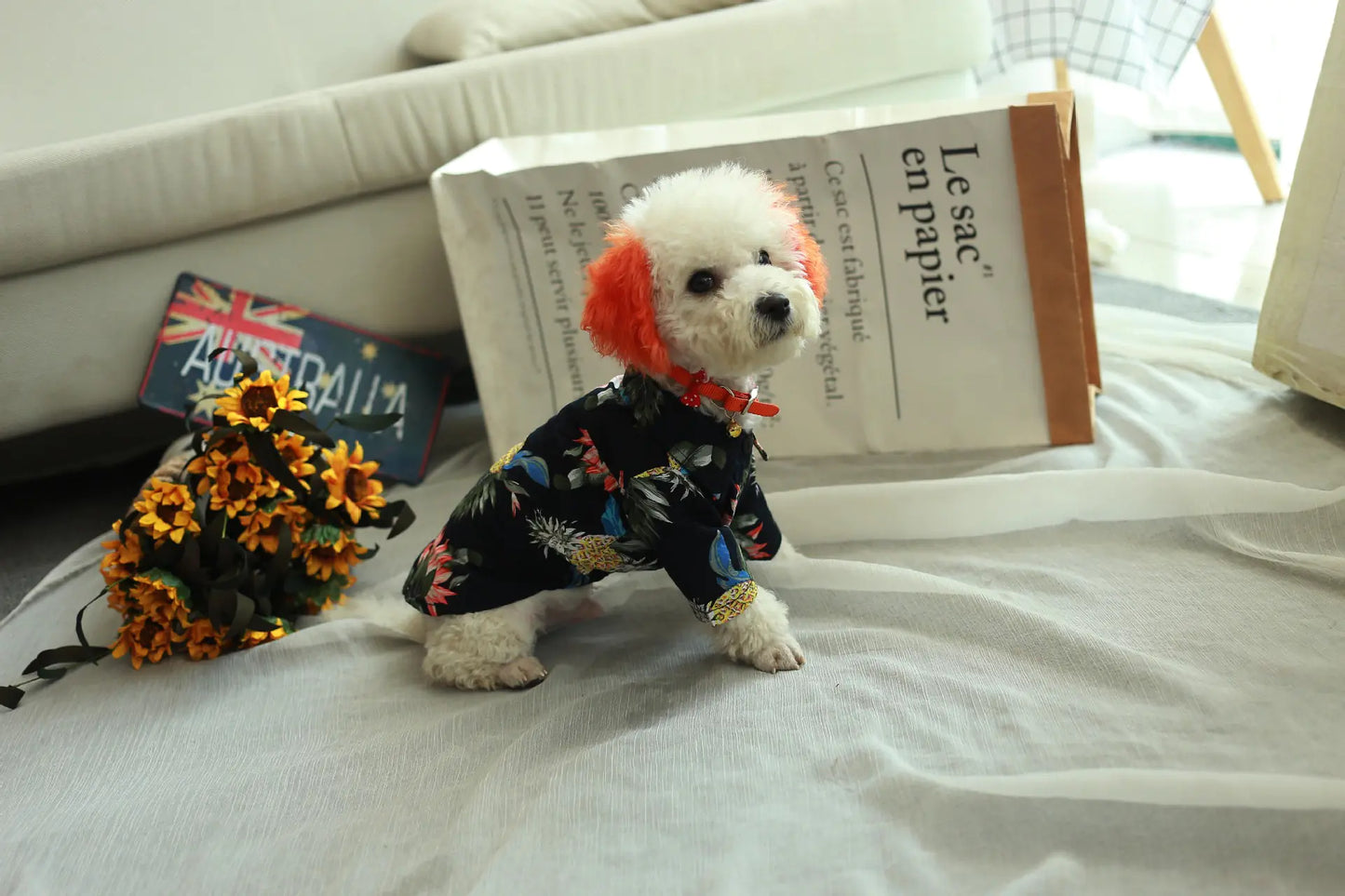 Spring Collection Fashionable Dog Shirt - Comfortable Cotton