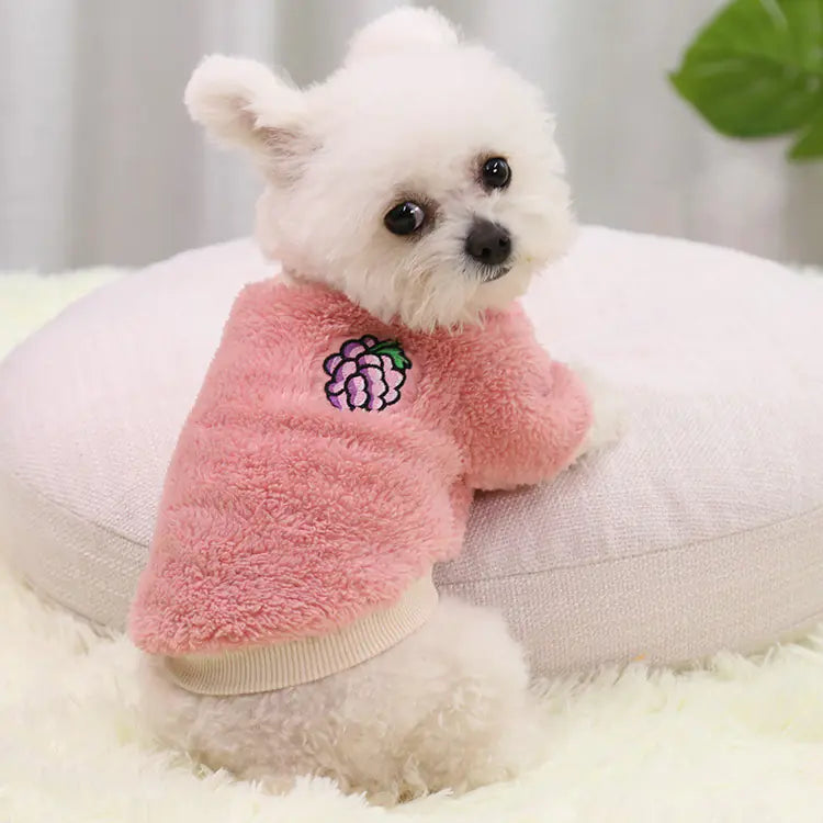 Teddy Dog Clothes for Small, Medium, and Large Sizes