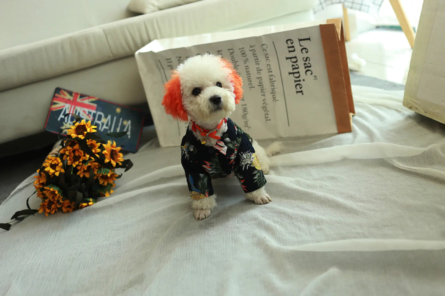Spring Collection Fashionable Dog Shirt - Comfortable Cotton