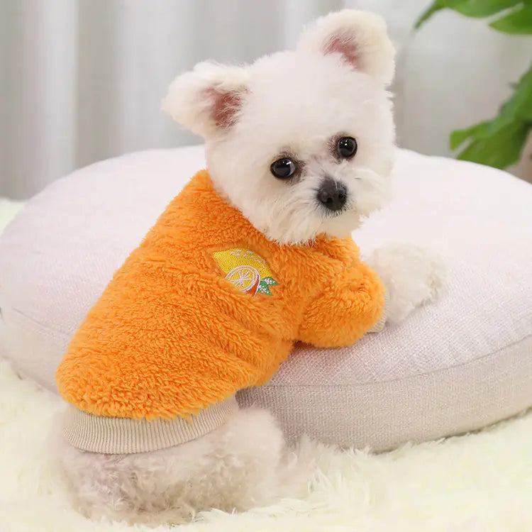 Teddy Dog Clothes for Small, Medium, and Large Sizes