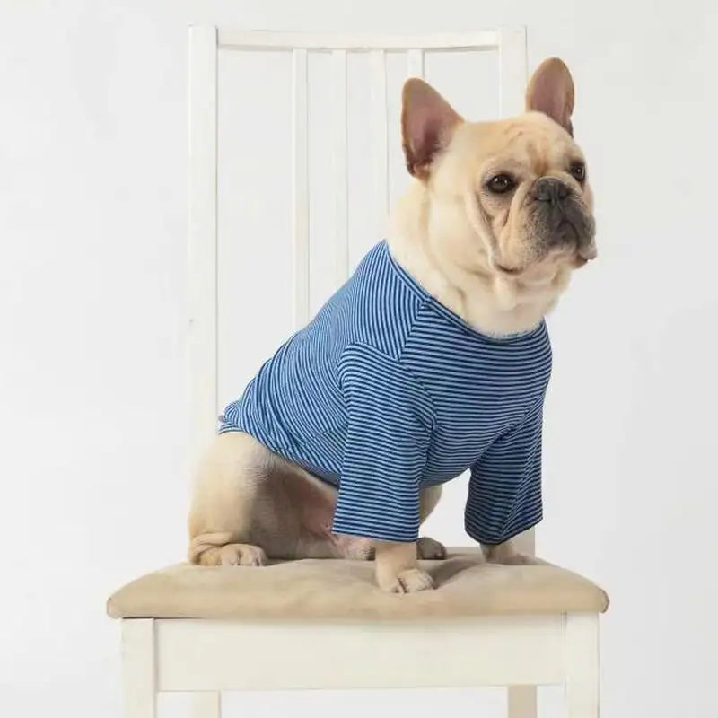 Casual Dog Clothes for Teddy Puppies - Wholesale Styles