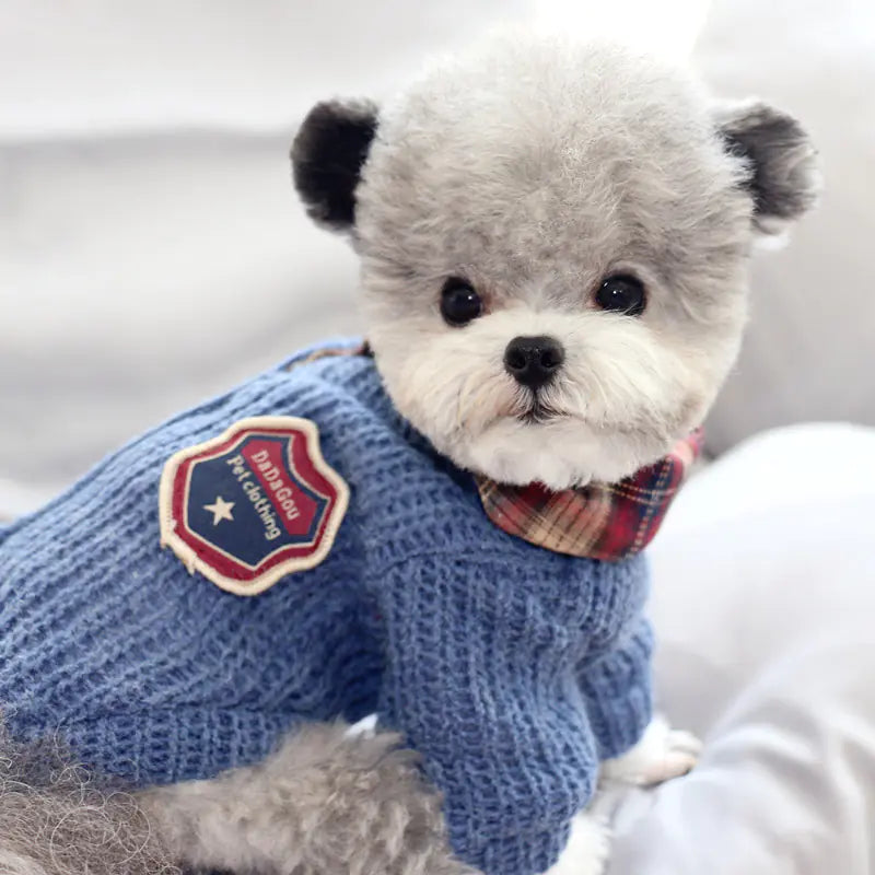 Sweater Dog Clothes, Two-Piece Autumn Cotton Outfit