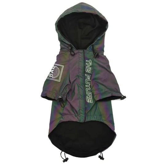 Autumn Dog Clothing Collection