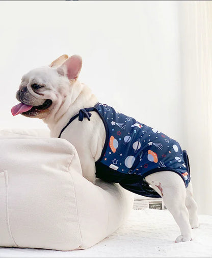 Meteor Print Dog Clothes for Pomeranian & Corgi