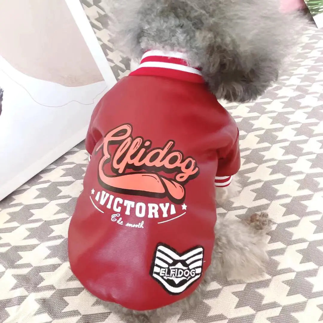 Leather Dog Clothes for Small Pets with Cotton Padding