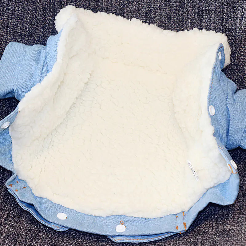 Thick Warm Dog Cotton Jacket, Denim Pet Clothes