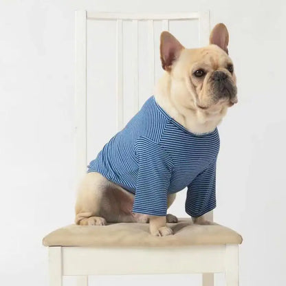 Casual Dog Clothes for Teddy Puppies - Wholesale Styles