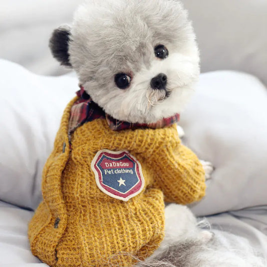 Sweater Dog Clothes, Two-Piece Autumn Cotton Outfit
