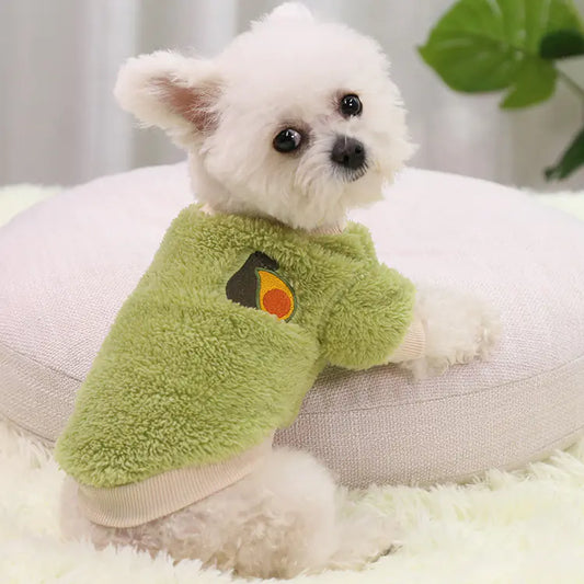 Teddy Dog Clothes for Small, Medium, and Large Sizes